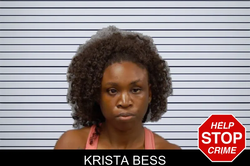 Krista Bess mugshot – Candler County , Georgia Krista Bess mugshot