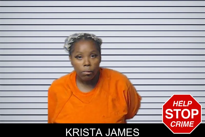 Krista James mugshot – DeKalb County , Georgia Krista James mugshot