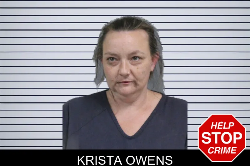 Krista Owens mugshot