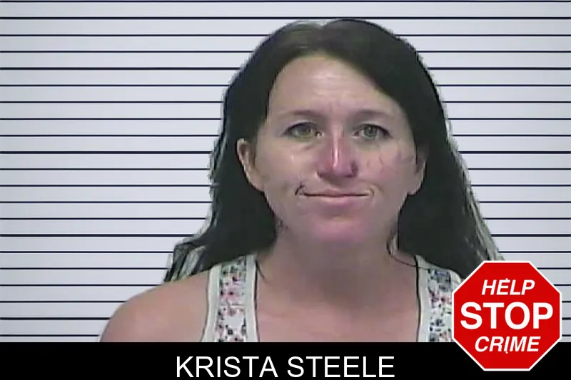 Krista Steele mugshot – Dawson County , Georgia Krista Steele mugshot