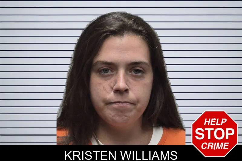 Kristen Williams mugshot – Dade County , Georgia Kristen Williams mugshot