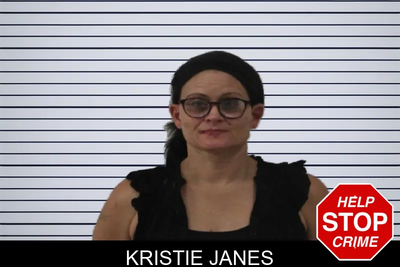 Kristie Janes mugshot – Johnson County , Georgia Kristie Janes mugshot