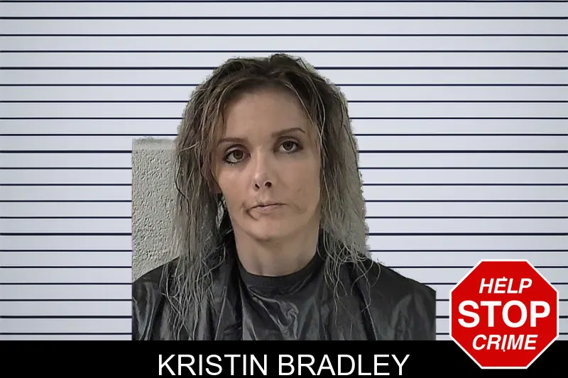 Kristin Bradley mugshot – Elbert County , Georgia Kristin Bradley mugshot