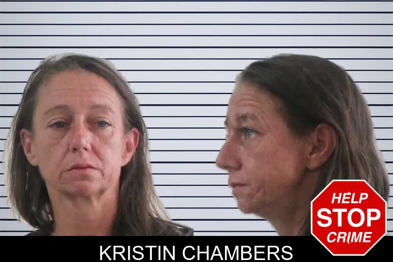 Kristin Chambers mugshot – Houston County , Georgia Kristin Chambers mugshot