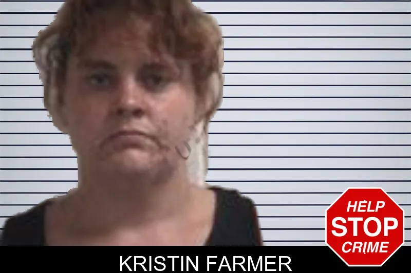 Kristin Farmer mugshot – Henry County , Georgia Kristin Farmer mugshot