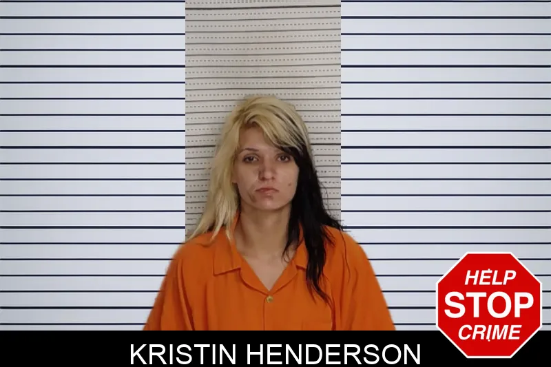 Kristin Henderson mugshot – Rockdale County , Georgia Kristin Henderson mugshot
