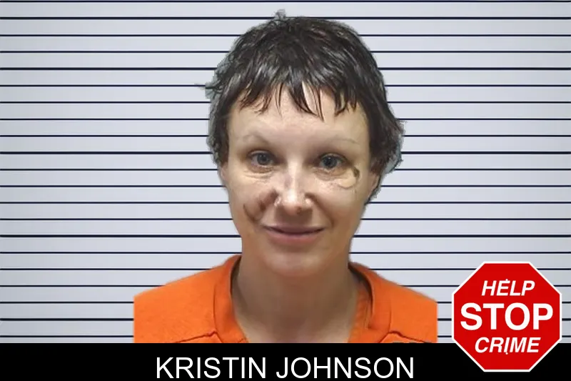 Kristin Johnson mugshot – Cherokee County , Georgia Kristin Johnson mugshot