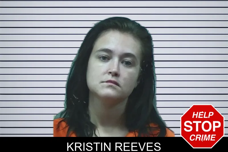 Kristin Reeves mugshot – Bleckley County , Georgia Kristin Reeves mugshot