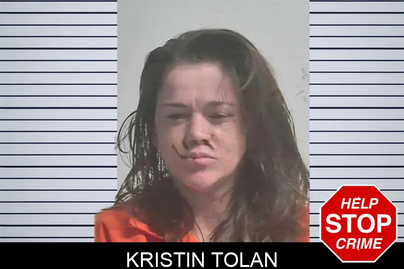 Kristin Tolan mugshot