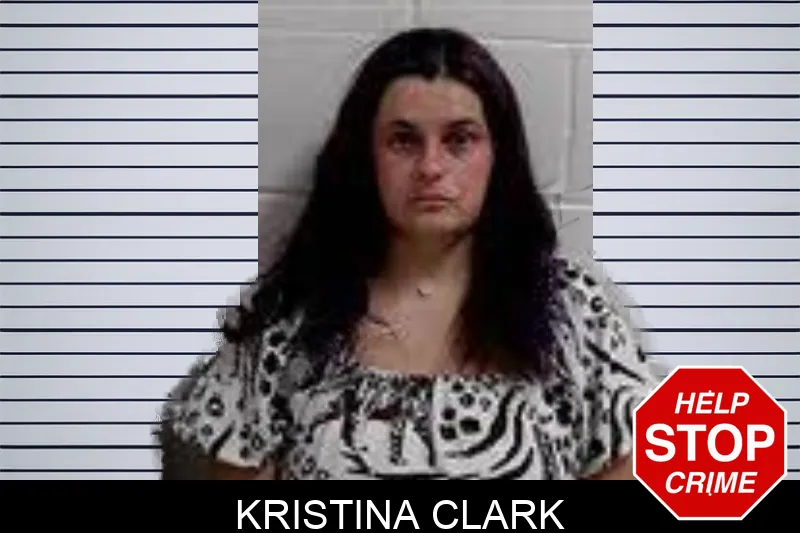 Kristina Clark mugshot – Decatur County , Georgia Kristina Clark mugshot