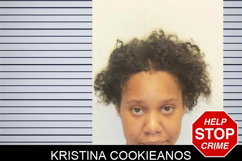 Kristina Cookieanos mugshot