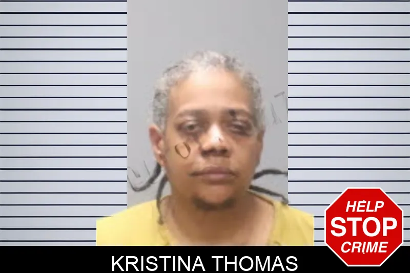Kristina Thomas mugshot