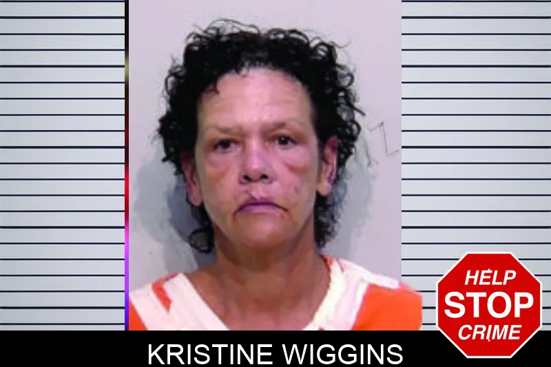 Kristine Wiggins mugshot – Bartow County , Georgia Kristine Wiggins mugshot
