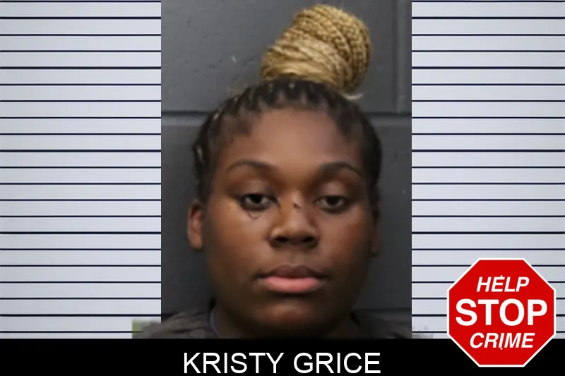 Kristy Grice mugshot – Forsyth County , Georgia Kristy Grice mugshot