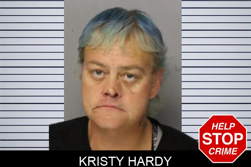 Kristy Hardy mugshot – Hall County , Georgia Kristy Hardy mugshot