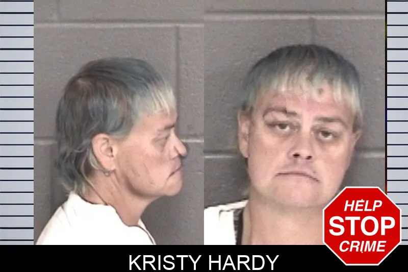 Kristy Hardy mugshot