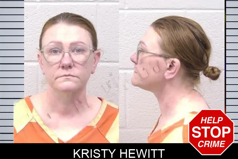 Kristy Hewitt mugshot