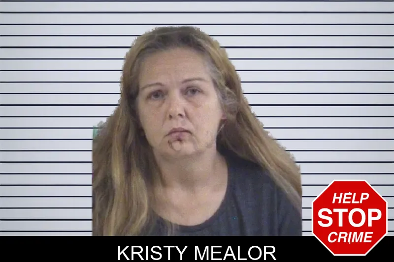 Kristy Mealor mugshot – Whitfield County , Georgia Kristy Mealor mugshot