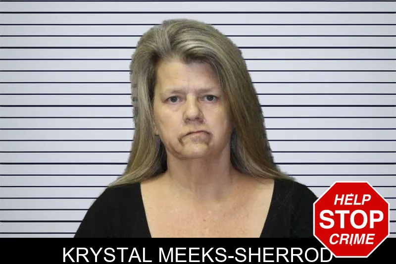 Krystal Meeks-Sherrod mugshot – Thomas County , Georgia Krystal Meeks-Sherrod mugshot