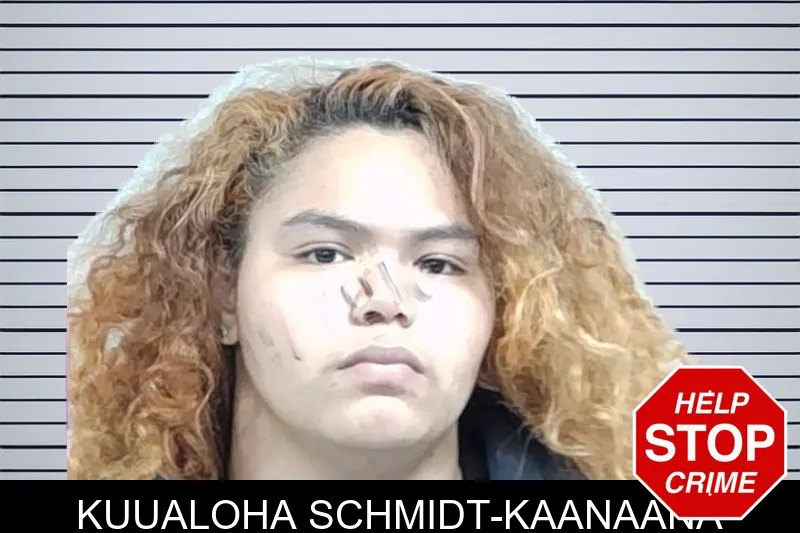 Kuualoha Schmidt-Kaanaana mugshot – Lowndes County , Georgia Kuualoha Schmidt-Kaanaana mugshot