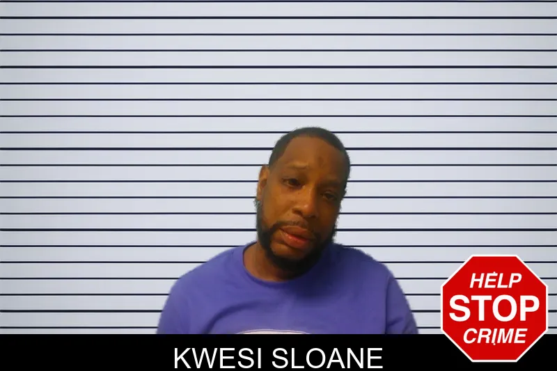 Kwesi Sloane mugshot – Franklin County , Georgia Kwesi Sloane mugshot
