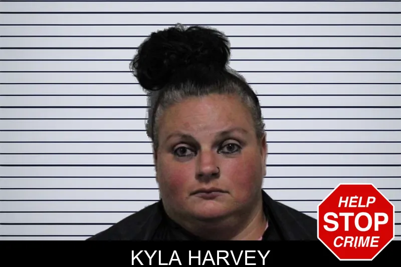 Kyla Harvey mugshot – Habersham County , Georgia Kyla Harvey mugshot