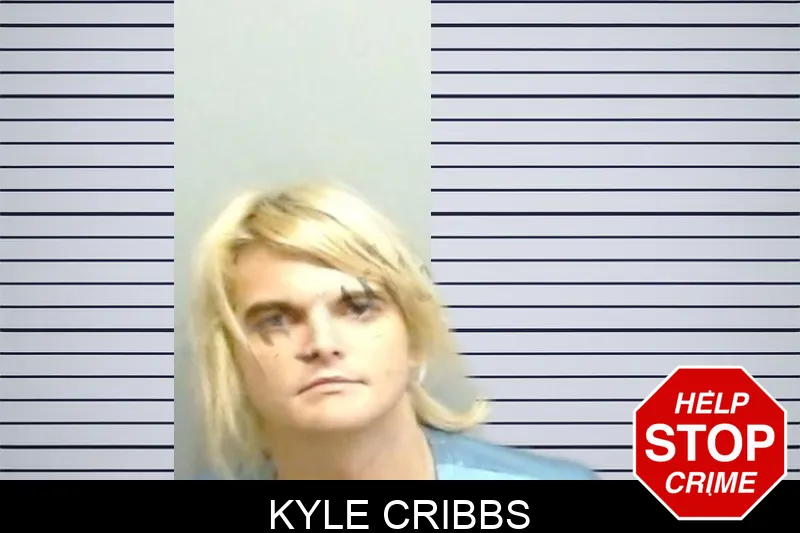 Kyle Cribbs mugshot – Fulton County , Georgia Kyle Cribbs mugshot