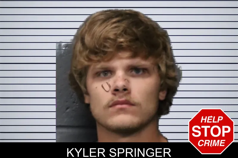 Kyler Springer mugshot