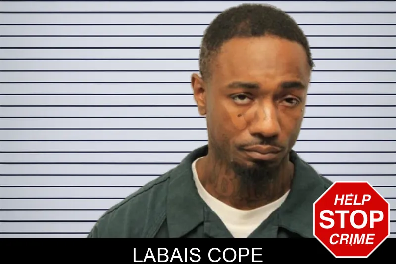 Labais Cope mugshot – Chatham County , Georgia Labais Cope mugshot