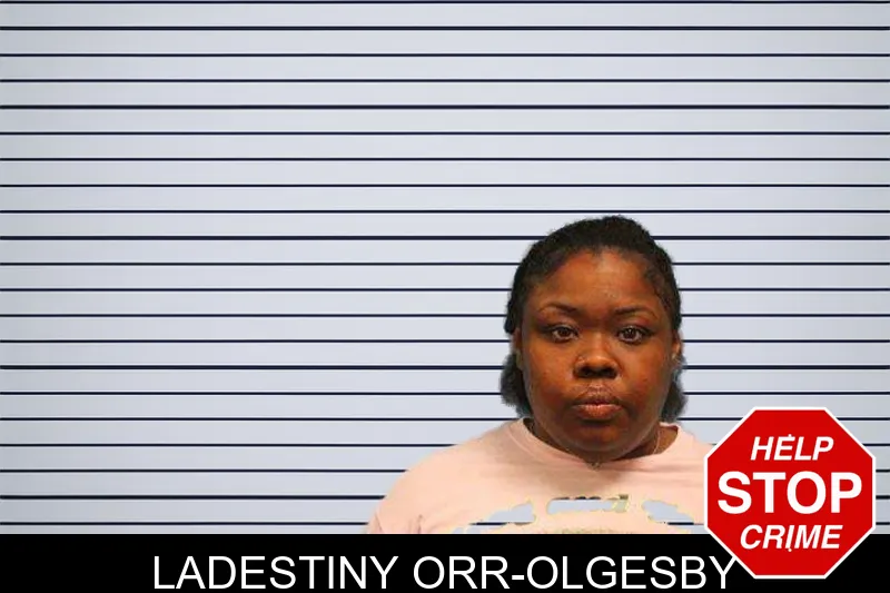 Ladestiny Orr-Olgesby mugshot – Monroe County , Georgia Ladestiny Orr-Olgesby mugshot