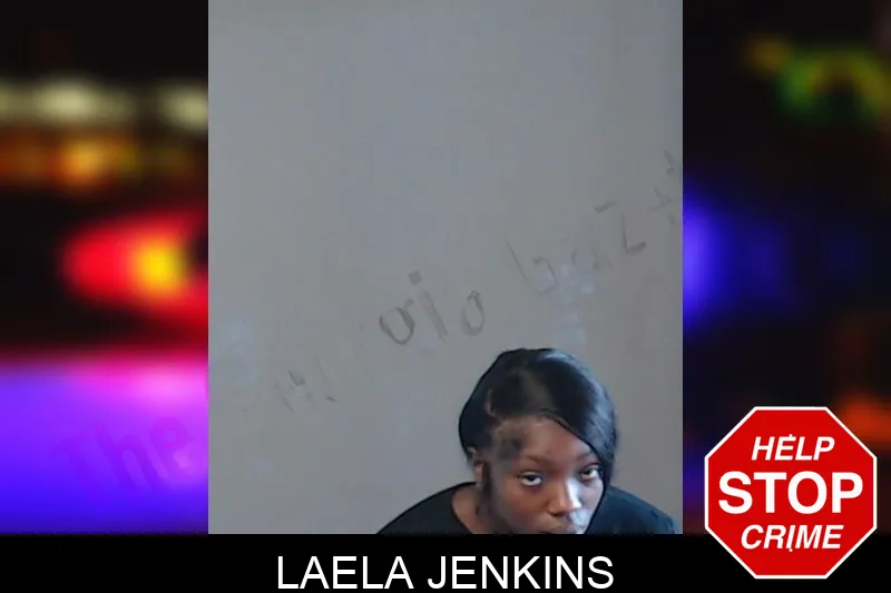 Laela Jenkins mugshot – DeKalb County , Georgia Laela Jenkins mugshot
