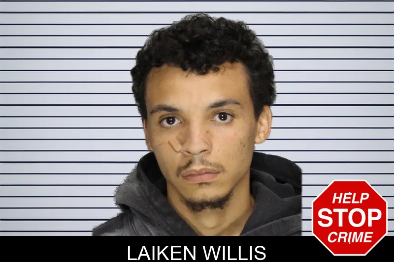 Laiken Willis mugshot – Cobb County , Georgia Laiken Willis mugshot