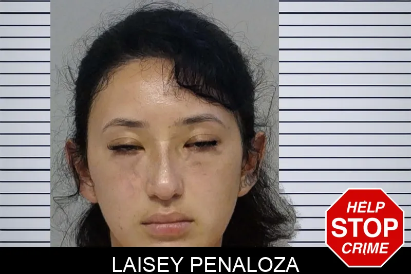 Laisey Penaloza mugshot
