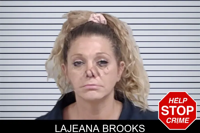 Lajeana Brooks mugshot – Lowndes County , Georgia Lajeana Brooks mugshot