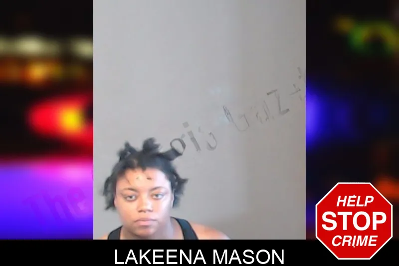Lakeena Mason mugshot – DeKalb County , Georgia Lakeena Mason mugshot