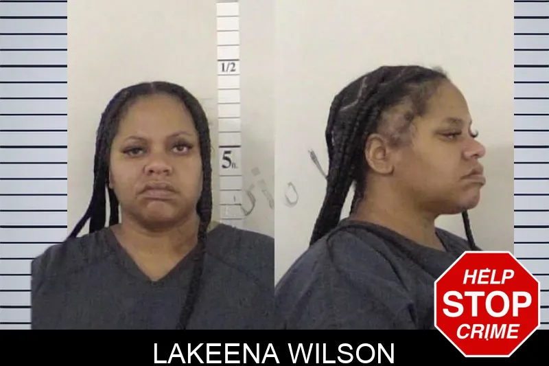 Lakeena Wilson mugshot