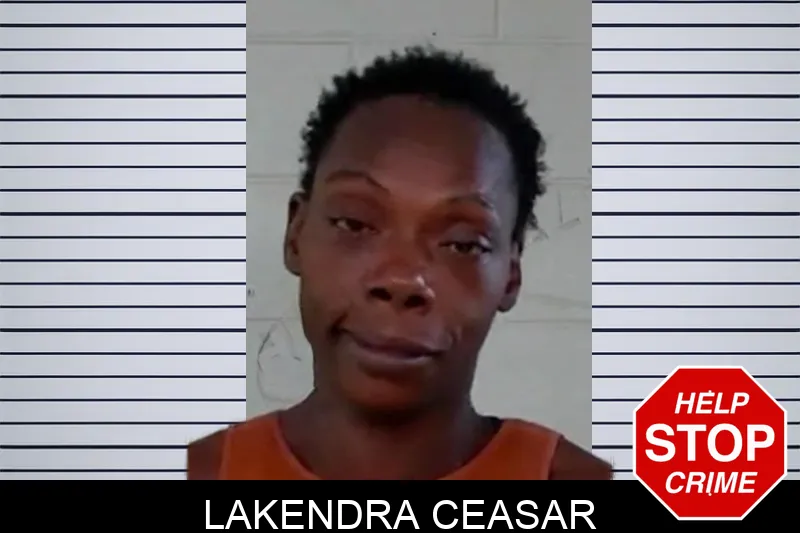Lakendra Ceasar mugshot – Liberty County , Georgia Lakendra Ceasar mugshot