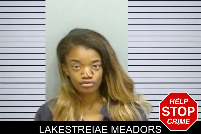 Lakestreiae Meadors mugshot – Fulton County , Georgia Lakestreiae Meadors mugshot