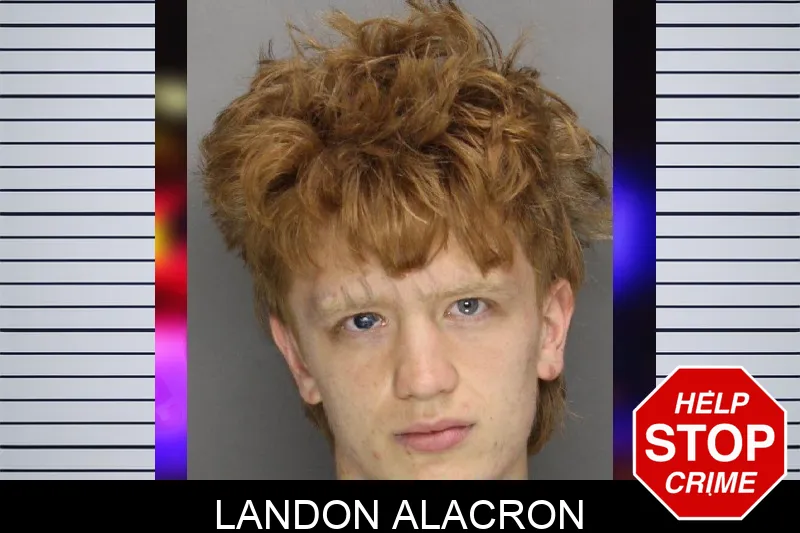 Landon Alacron mugshot