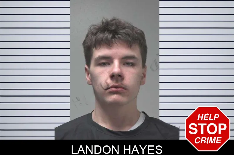 Landon Hayes mugshot – Coweta County , Georgia Landon Hayes mugshot