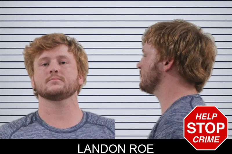 Landon Roe mugshot