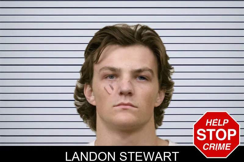 Landon Stewart mugshot – Bulloch County , Georgia Landon Stewart mugshot