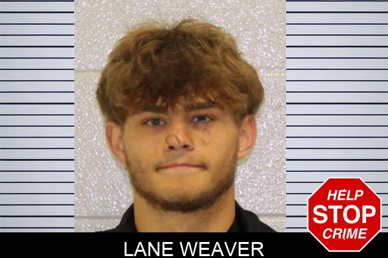 Lane Weaver mugshot – Carroll County , Georgia Lane Weaver mugshot