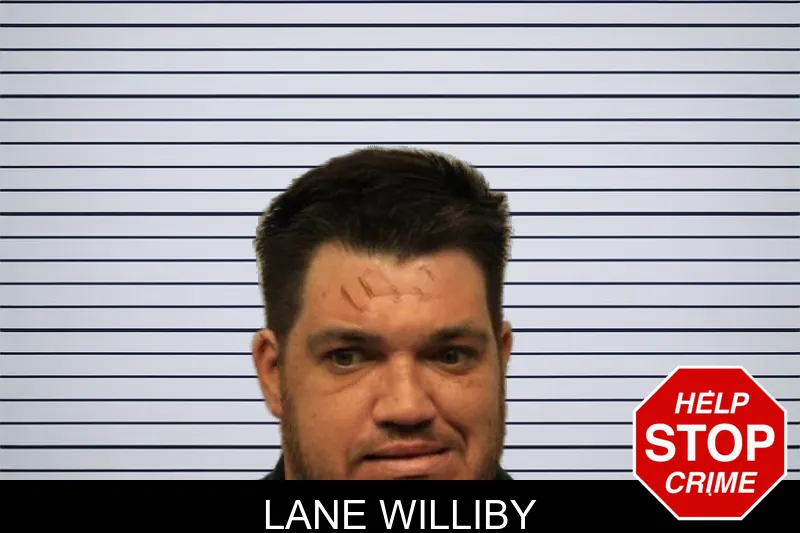 Lane Williby mugshot – Chatham County , Georgia Lane Williby mugshot