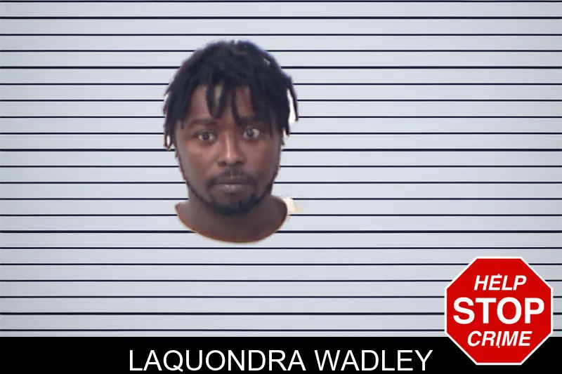 Laquondra Wadley mugshot – Emanuel County , Georgia Laquondra Wadley mugshot