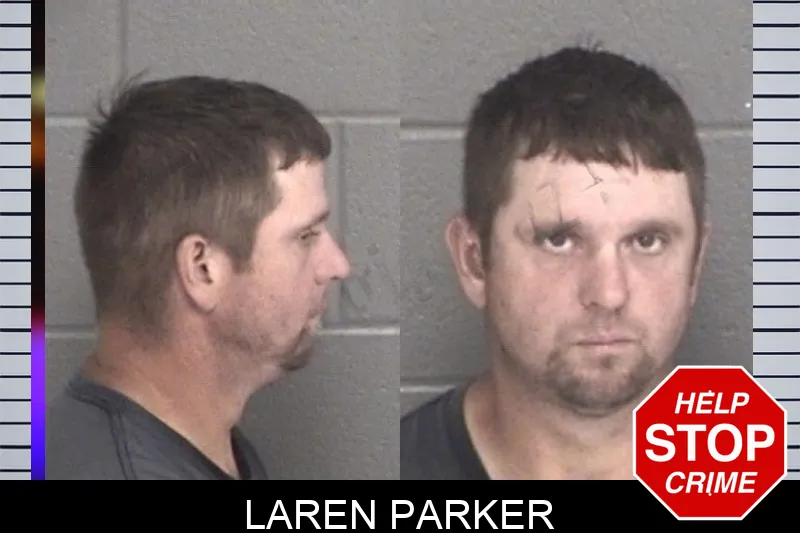 Laren Parker mugshot – Barrow County , Georgia Laren Parker mugshot