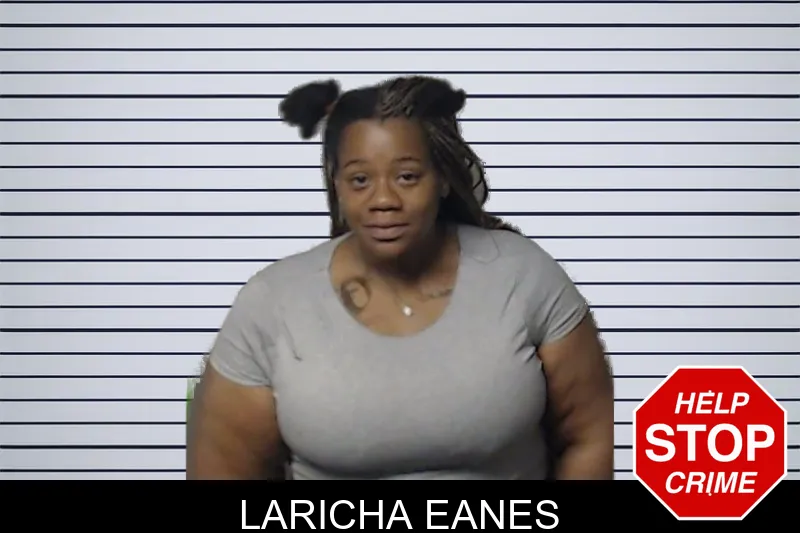 Laricha Eanes mugshot – DeKalb County , Georgia Laricha Eanes mugshot