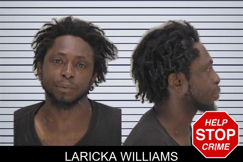 Laricka Williams mugshot