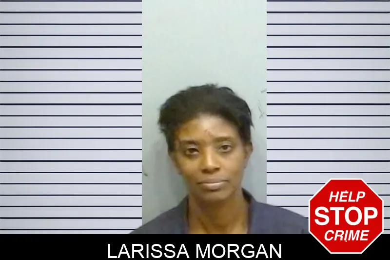 Larissa Morgan mugshot – Fulton County , Georgia Larissa Morgan mugshot