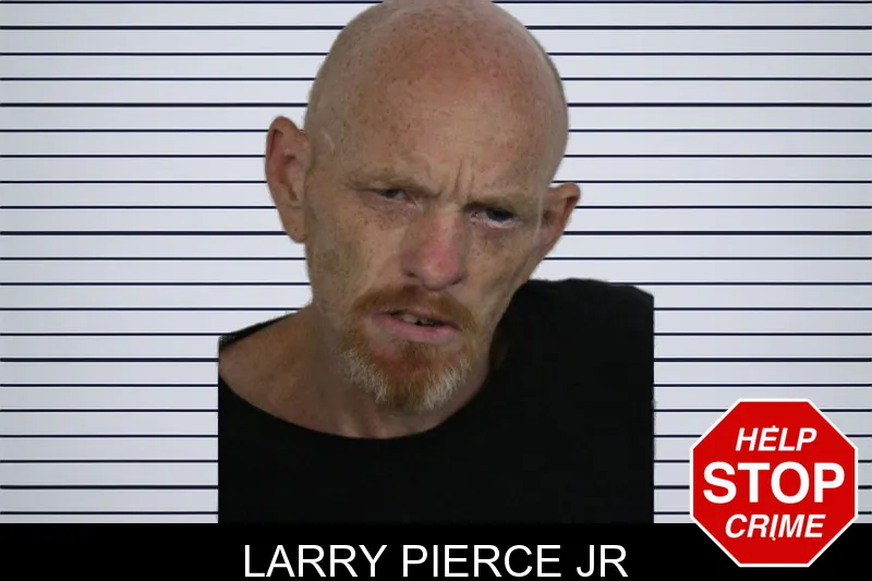 Larry Pierce Jr mugshot